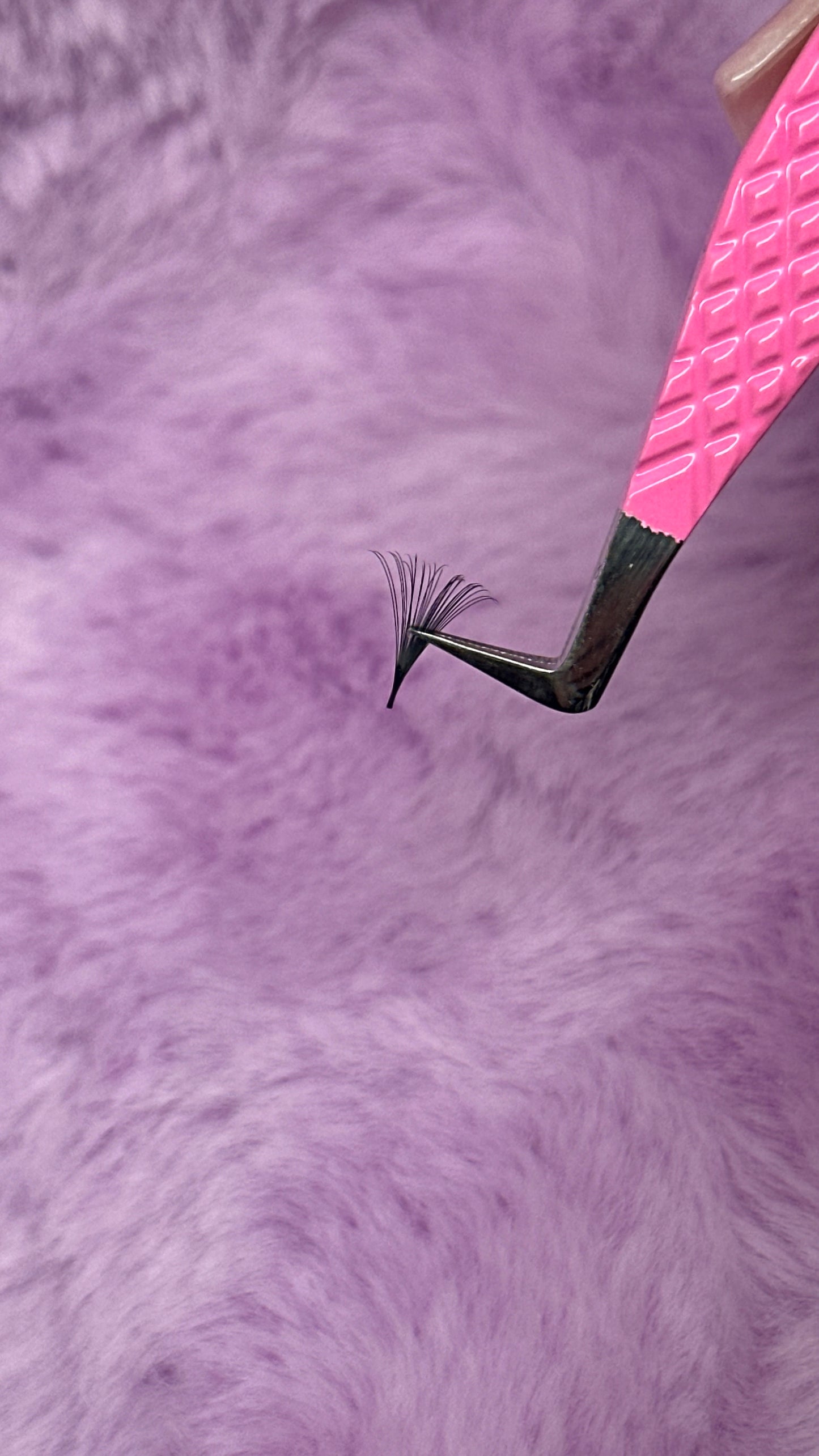 Cashmere Dream Collection