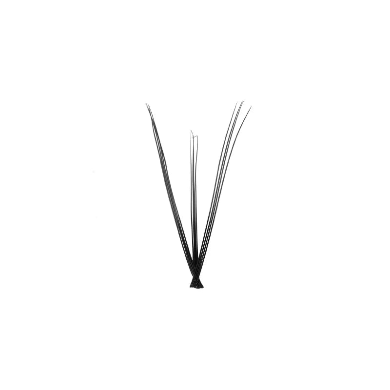 Feral Edge Weightless Individual Lash Extensions